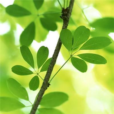 领航新质——李振宇荣膺CAIMRS年...